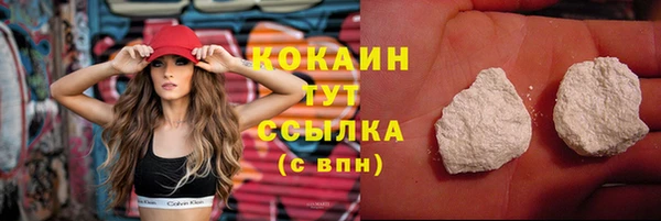 ПСИЛОЦИБИНОВЫЕ ГРИБЫ Горнозаводск