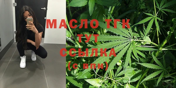 скорость Вяземский