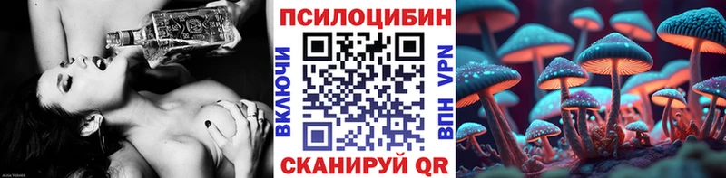 Галлюциногенные грибы Cubensis  продажа наркотиков  blacksprut вход  Жирновск 